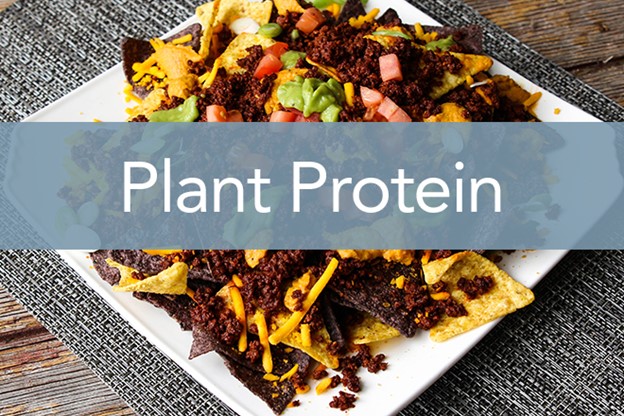 Plant Protein Menu Options From National Food Group